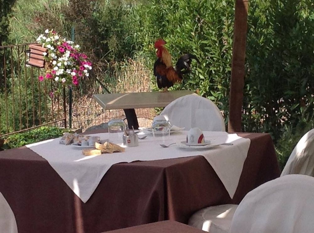 La Locanda Di Ortimino モンテスペルトリ エクステリア 写真